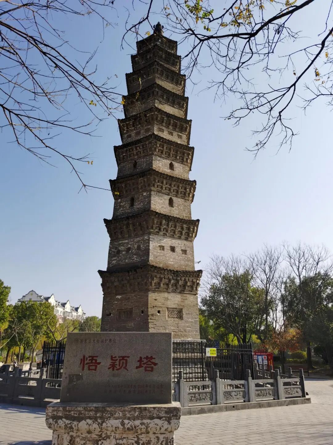 用骑行的方式，打开驻马店的春天