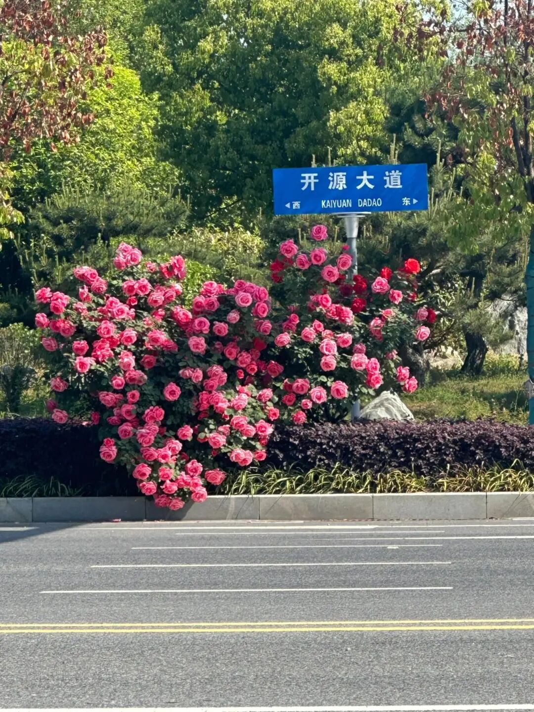 用骑行的方式，打开驻马店的春天