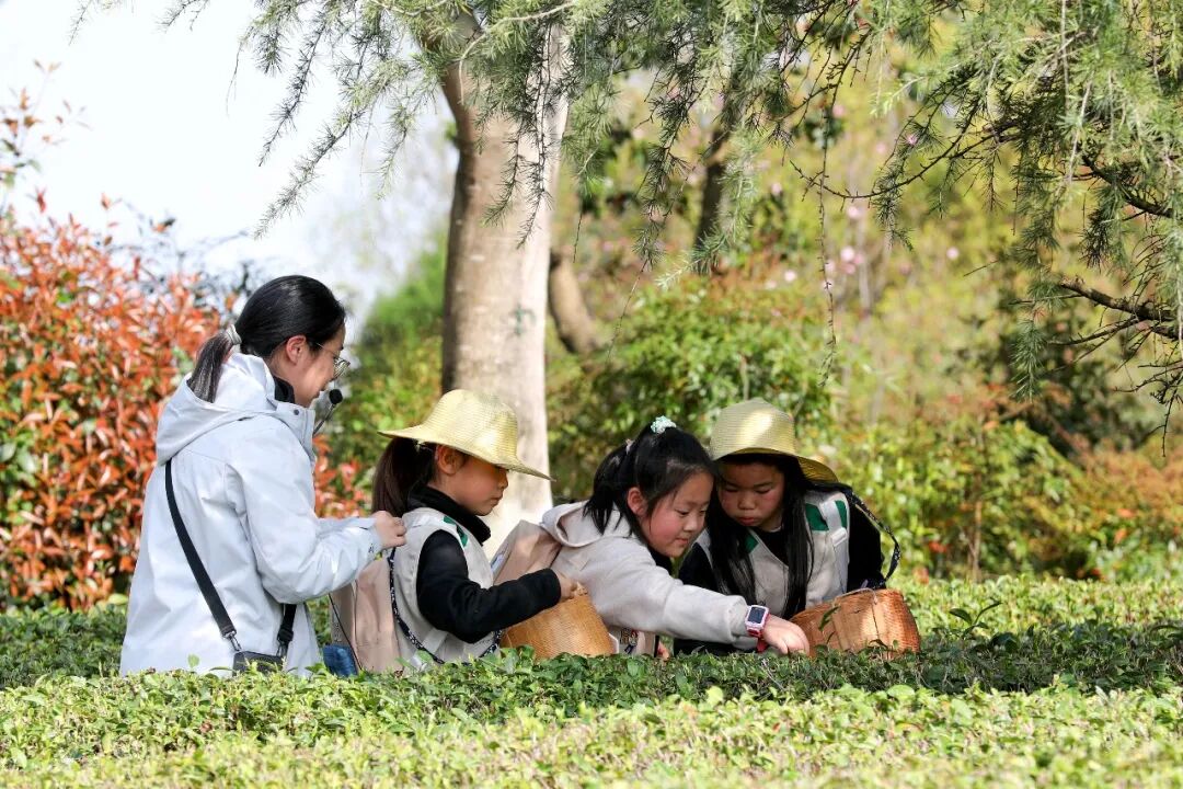 春假“小黄金周”有啥不一样